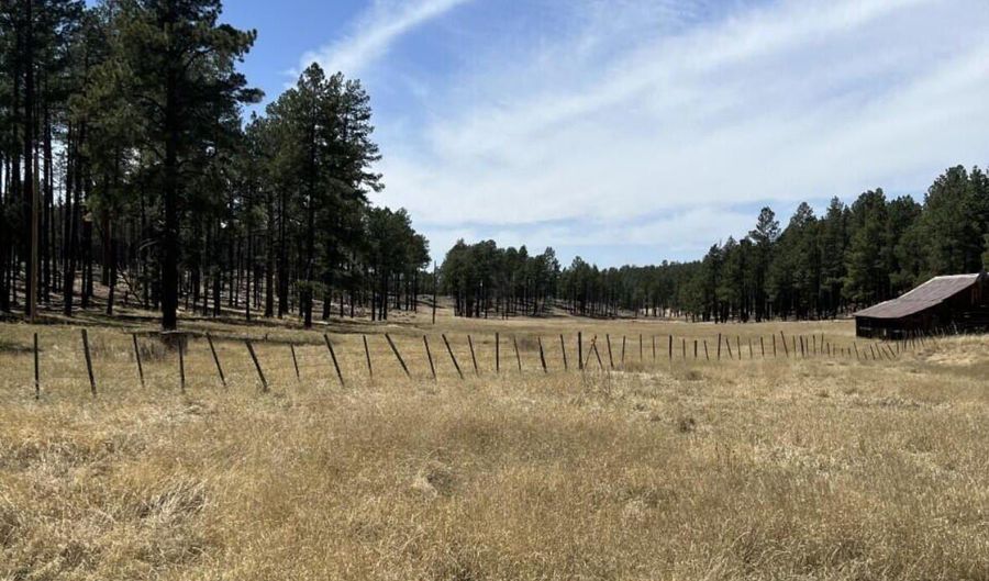 Lot B Forest Road 26, Alpine, AZ 85920 - 0 Beds, 0 Bath