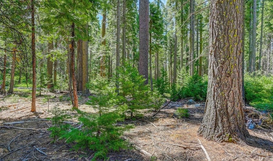 11 Timber Trail Ct, Arnold, CA 95223 - 0 Beds, 0 Bath