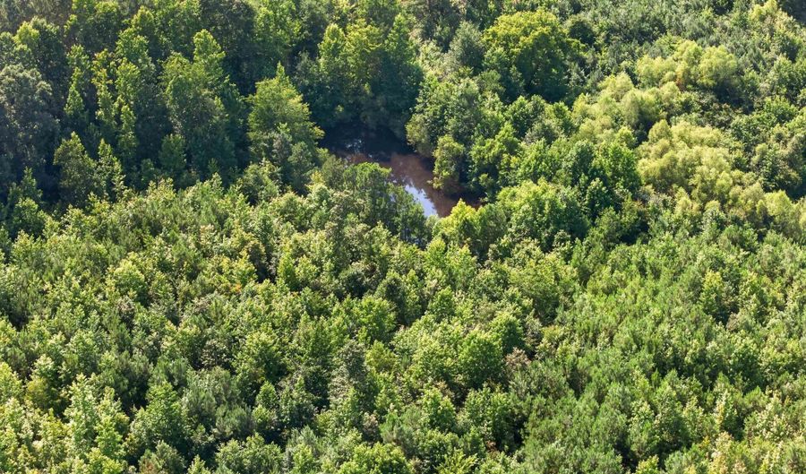 3707 Vaughn Rd, Altoona, AL 35952 - 0 Beds, 0 Bath