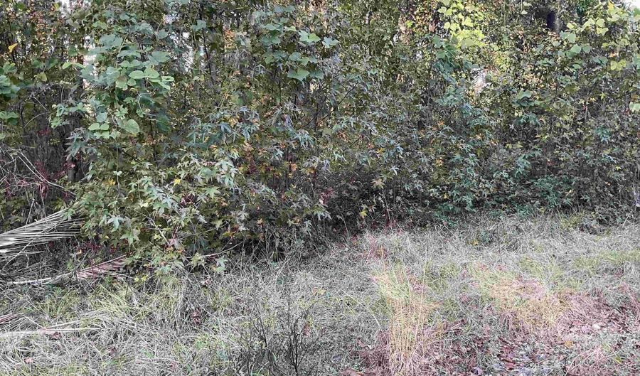3551 Moonlight Rd, Barnwell, SC 29853 - 0 Beds, 0 Bath