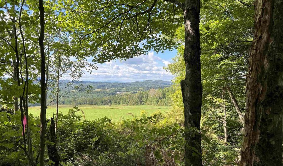 Danville Hill Road, Cabot, VT 05647 - 0 Beds, 0 Bath