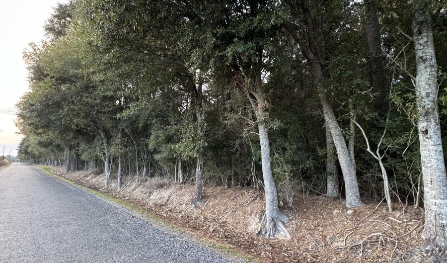 Tbd Bearcat Road, Basile, LA 70515 - 0 Beds, 0 Bath