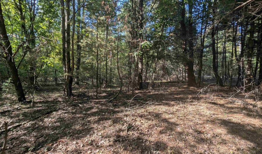 N Forest Lake Drive, Alger, MI 48610 - 0 Beds, 0 Bath