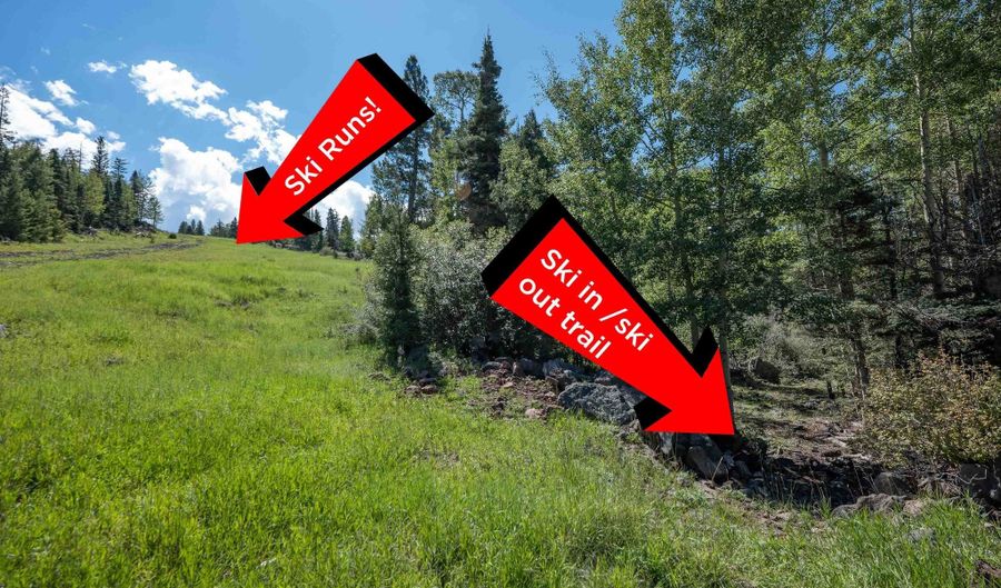 Rainbow Overlook lot 1231, Angel Fire, NM 87710 - 0 Beds, 0 Bath