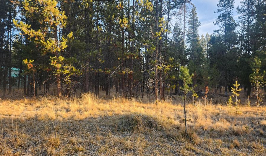 16824 Brenda Dr, Bend, OR 97707 - 0 Beds, 0 Bath