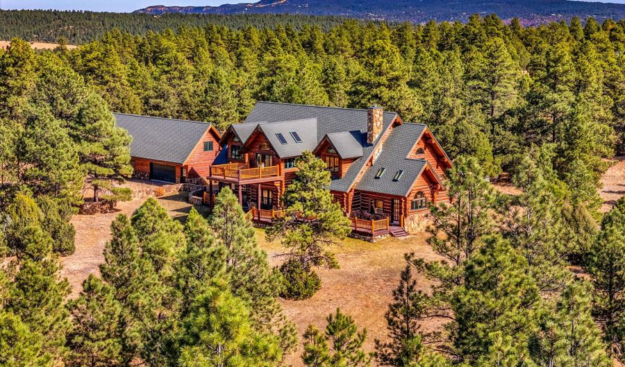 23100 Spirit Mountain Dr, Aguilar, CO 81020 - 6 Beds, 5 Bath