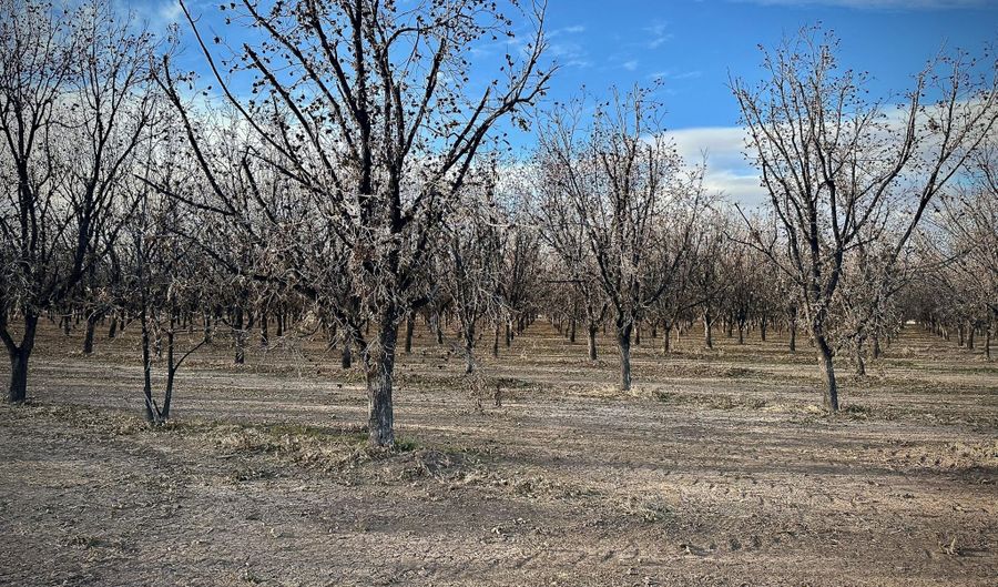 Gillett Road, Anthony, NM 88021 - 0 Beds, 0 Bath