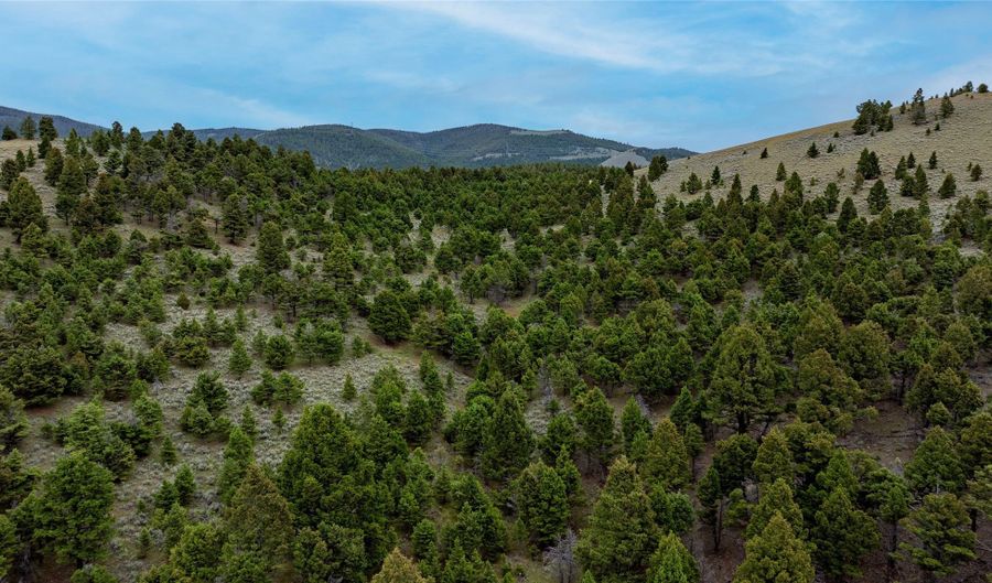 Bald Hill Lode, Basin, MT 59631 - 0 Beds, 0 Bath