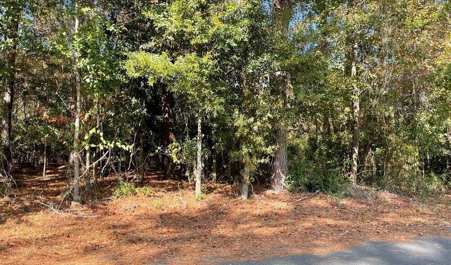 Lot 5 Lake Jennifer Dr, Americus, GA 31709 - 0 Beds, 0 Bath