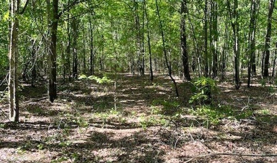 10 35 Cannafax, Barnesville, GA 30204 - 0 Beds, 0 Bath
