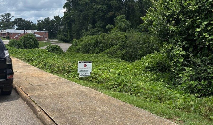 0 Creel Richardson Road Formerly College St, Ariton, AL 36311 - 0 Beds, 0 Bath