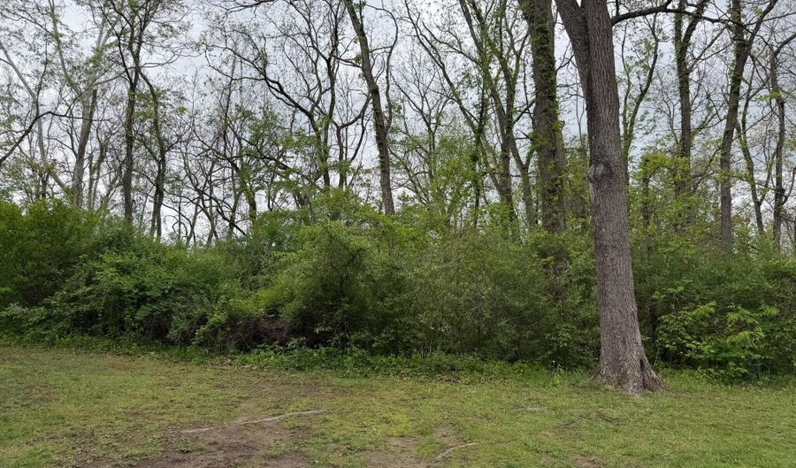 Alta Dr, Alderson, WV 24910 - 0 Beds, 0 Bath