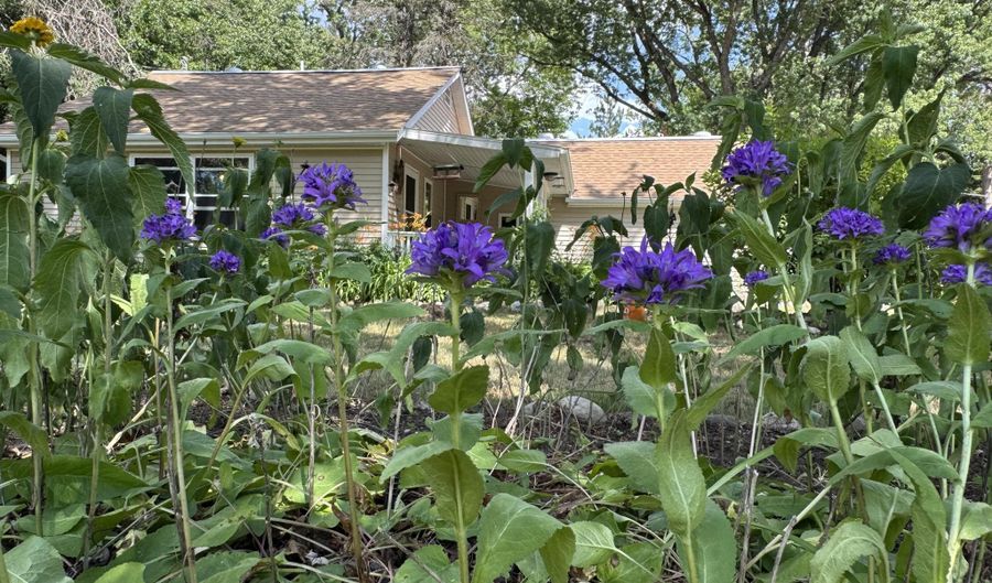 4655 S Simmons Rd, Alger, MI 48610 - 1 Beds, 1 Bath