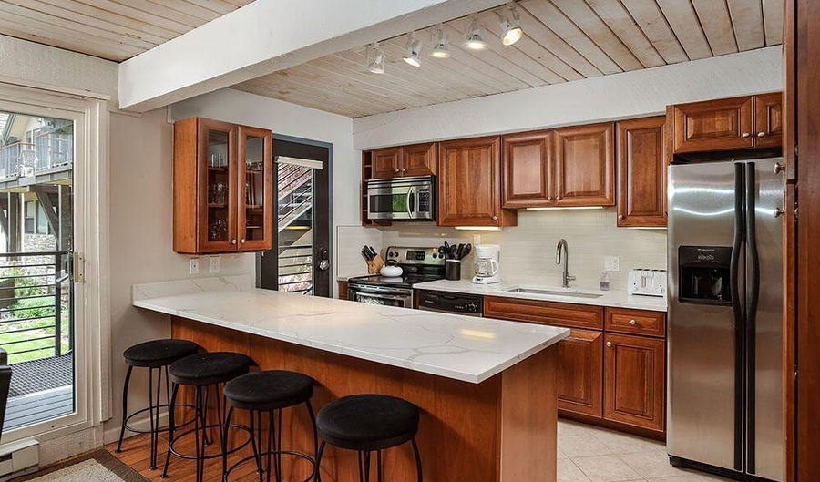 1039 E Cooper Ave #41, Aspen, CO 81611 - 2 Beds, 2 Bath