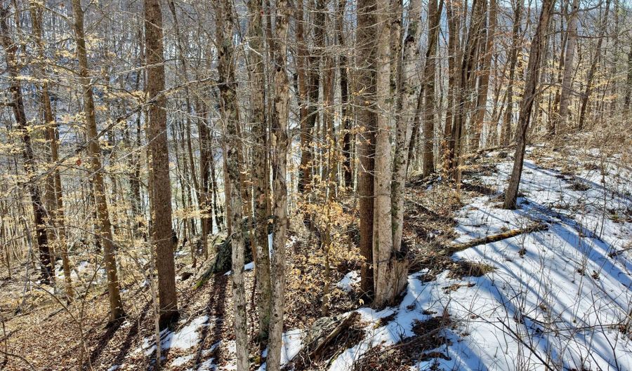 Highland Trail, Alderson, WV 24910 - 0 Beds, 0 Bath