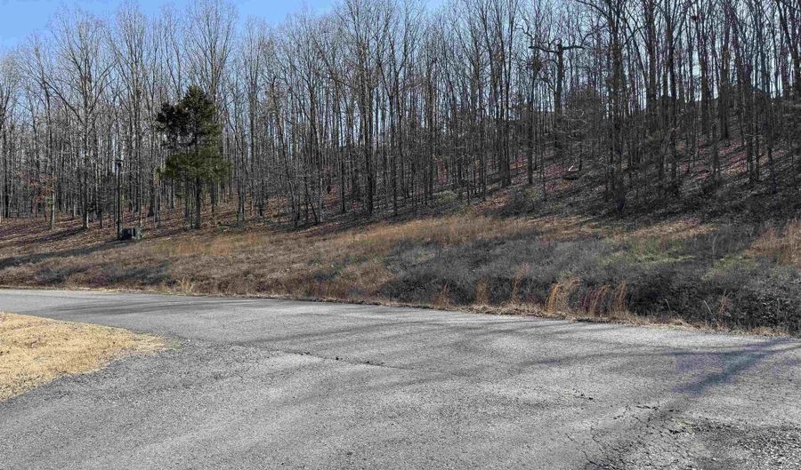 Lot 58 Rainbow Lake Road, Austin, AR 72007 - 0 Beds, 0 Bath