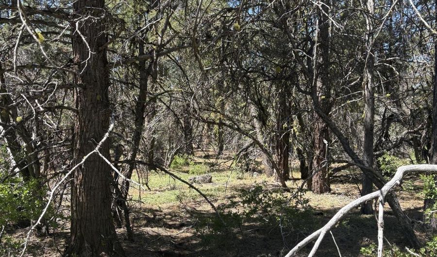 Chickadee Drive lot 10, Bonanza, OR 97623 - 0 Beds, 0 Bath
