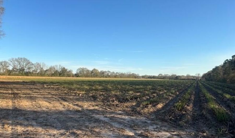 S Hospital Drive, Abbeville, LA 70510 - 0 Beds, 0 Bath