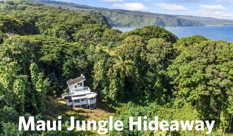 1155 Lower Nahiku Rd, Hana, HI 96753 - 1 Beds, 1 Bath