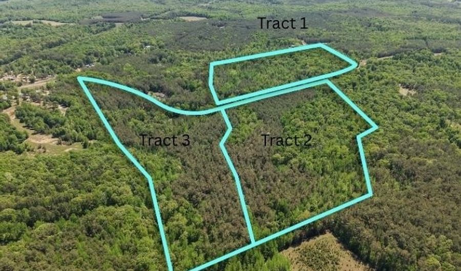 ED BARHAM TRACK 3 Rd, Bethel Springs, TN 38315 - 0 Beds, 0 Bath