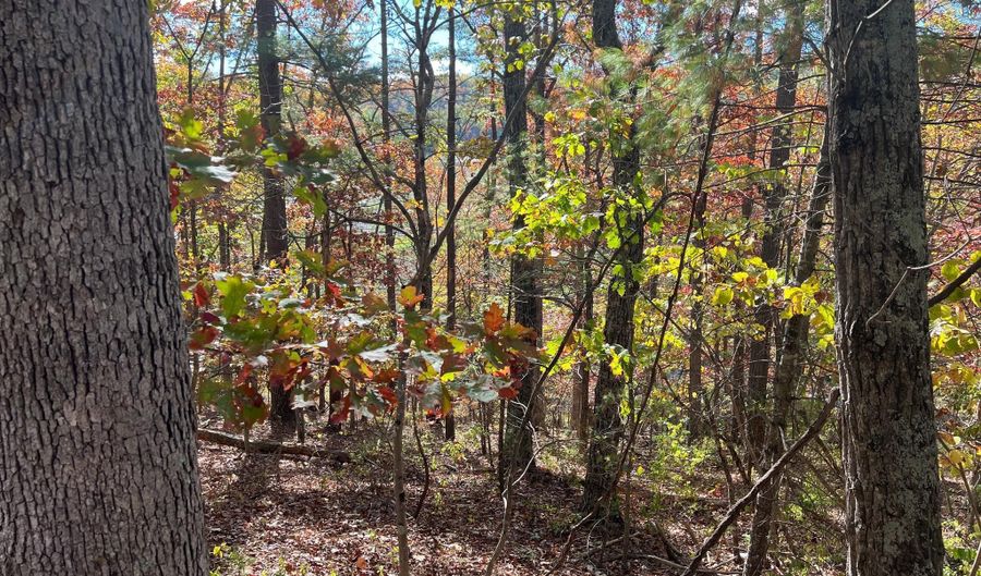 BRENDA Lane, Basye, VA 22810 - 0 Beds, 0 Bath