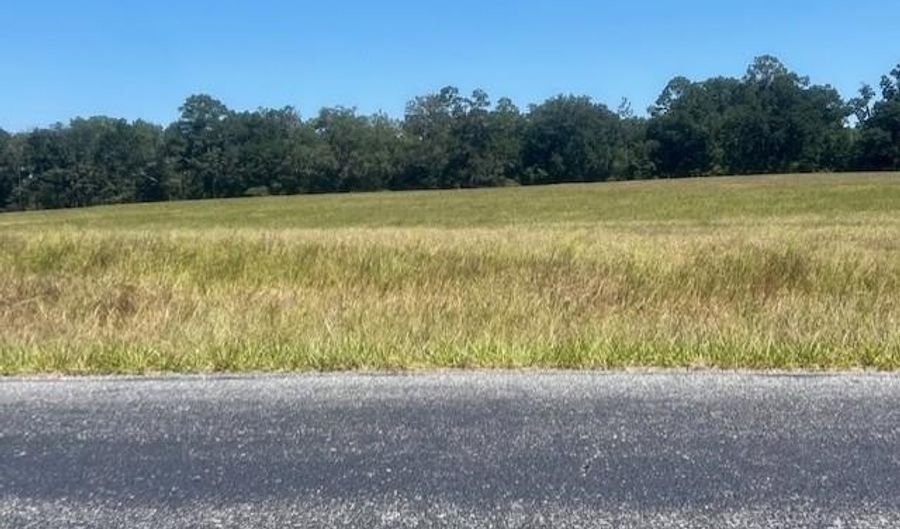 3830 31st Ave, Bell, FL 32619 - 0 Beds, 0 Bath