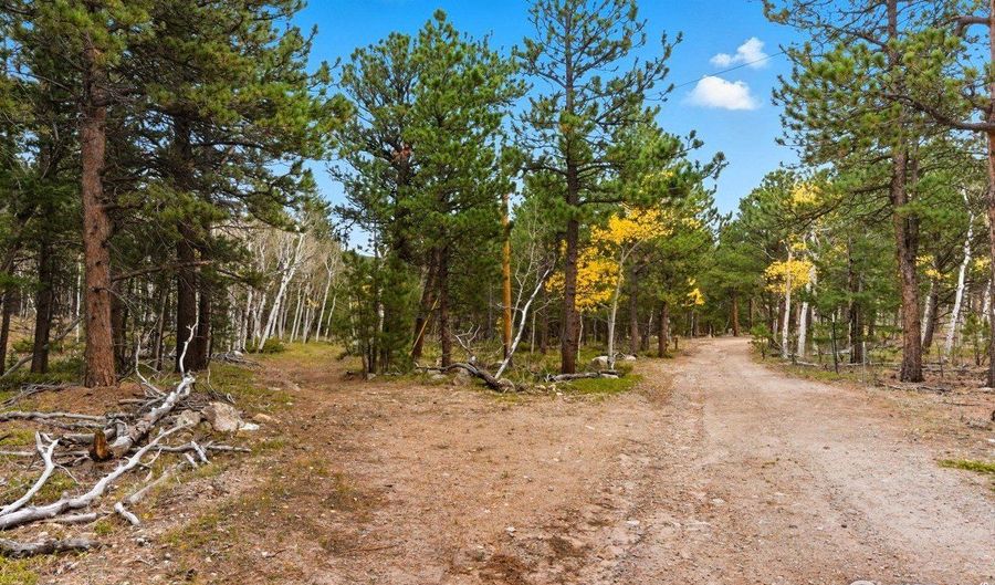 441 County Road 84 W, Allenspark, CO 80510 - 0 Beds, 0 Bath