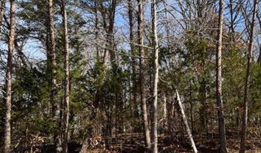 Tree Line Lane lot 1191, Baneberry, TN 37890 - 0 Beds, 0 Bath