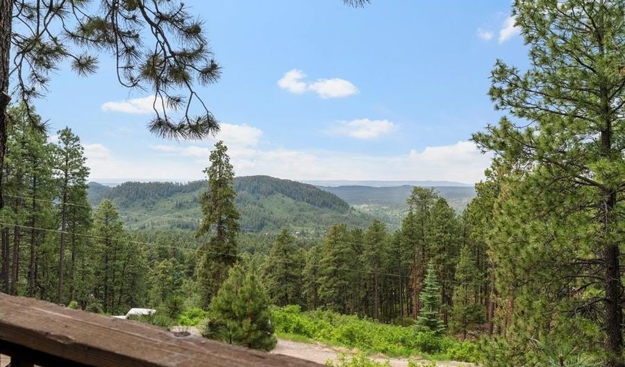 203 Hilltop Dr, Bayfield, CO 81122 - 2 Beds, 3 Bath