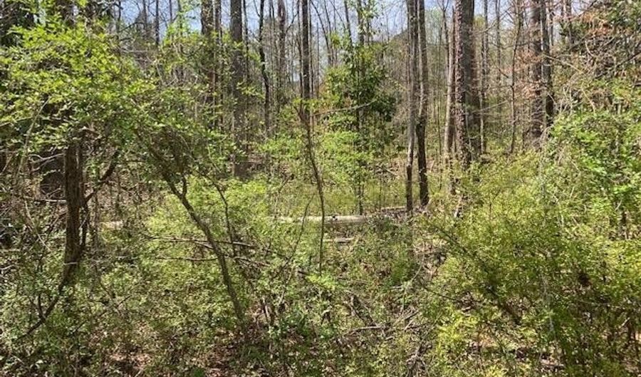 Hickory Cir, Alexander City, AL 35010 - 0 Beds, 0 Bath