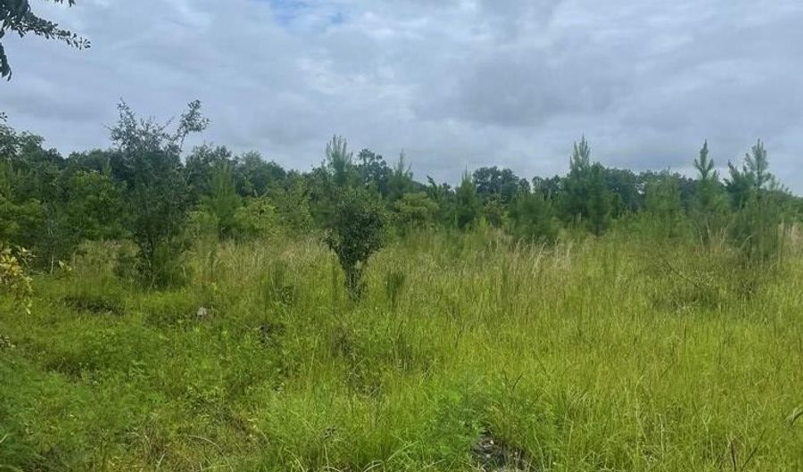 00 Belcher Ln, Bainbridge, GA 39817 - 0 Beds, 0 Bath