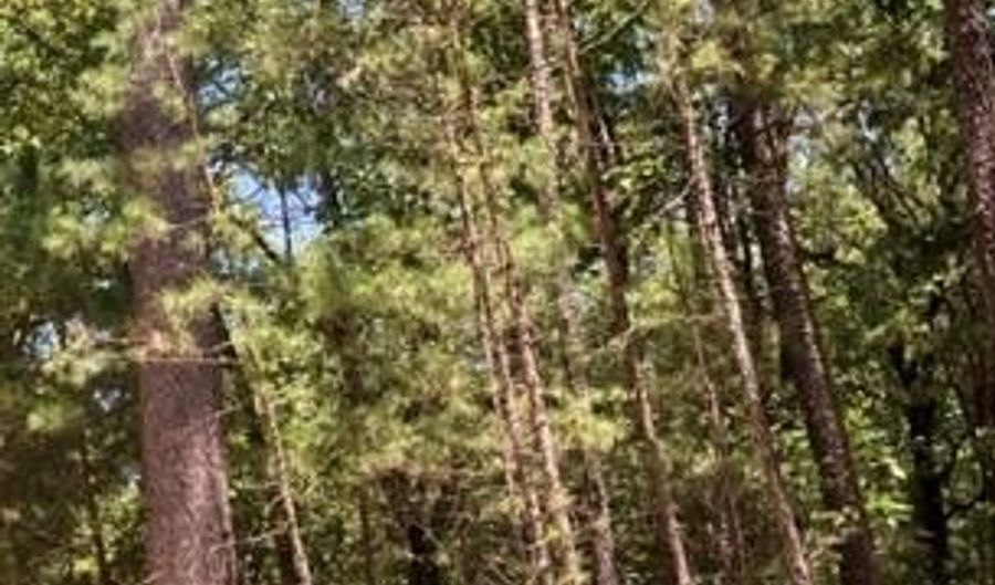 Whispering Pines, Antlers, OK 74523 - 0 Beds, 0 Bath