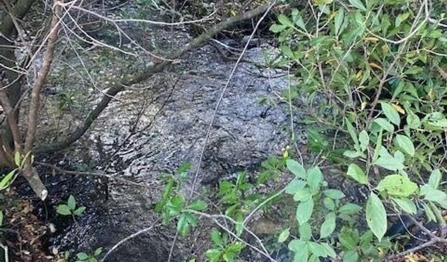 21526 NW Isoletta Ln, Altha, FL 32421 - 0 Beds, 0 Bath