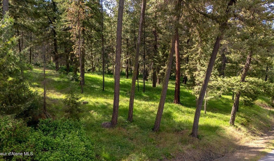 NNA STONERIDGE LOT 1, Blanchard, ID 83804 - 0 Beds, 0 Bath