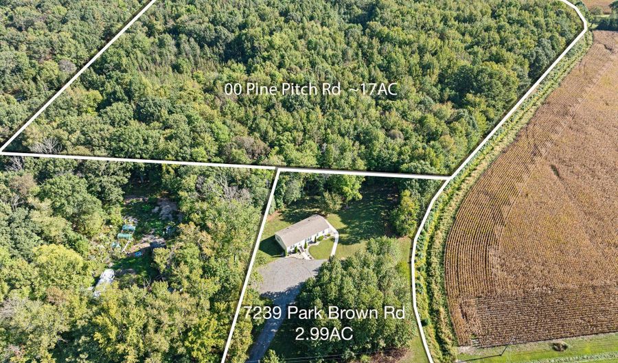 PINEPITCH Road, Harrington, DE 19952 - 0 Beds, 0 Bath