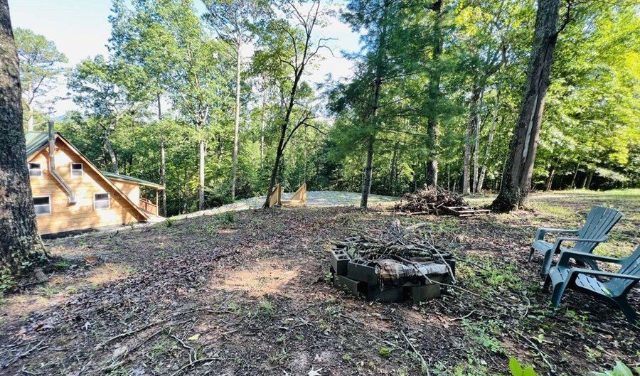 100 Tufts Rd, Ellijay, GA 30540 - 2 Beds, 2 Bath