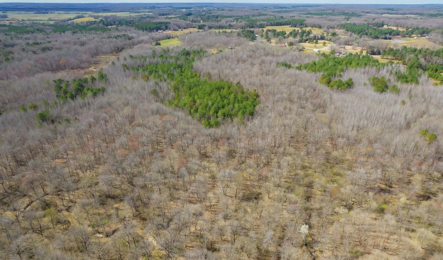196 Pierce Rd, Beech Bluff, TN 38313 - 5 Beds, 3 Bath