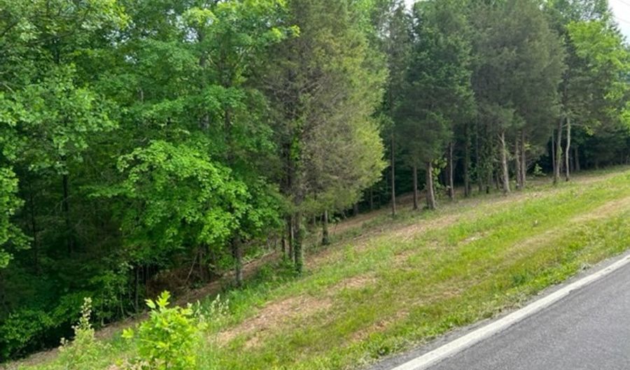 Lot 3 Willow Grove Hwy, Allons, TN 38541 - 0 Beds, 0 Bath