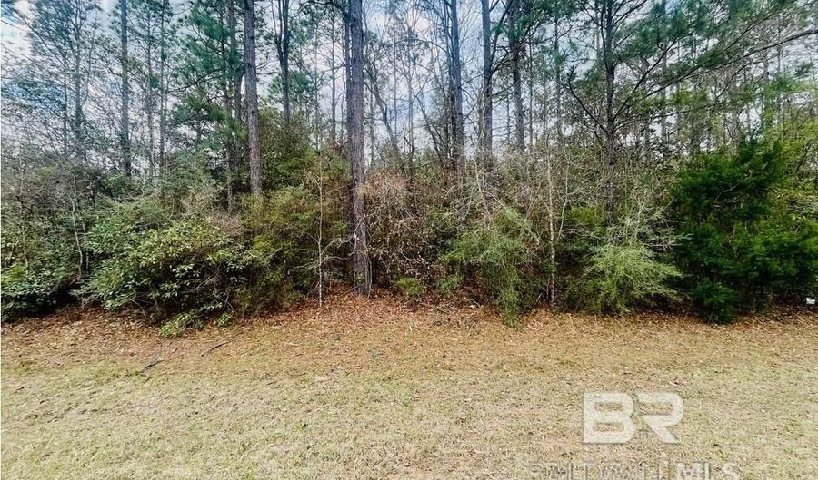 002 Phillipsville Rd, Bay Minette, AL 36507 - 0 Beds, 0 Bath