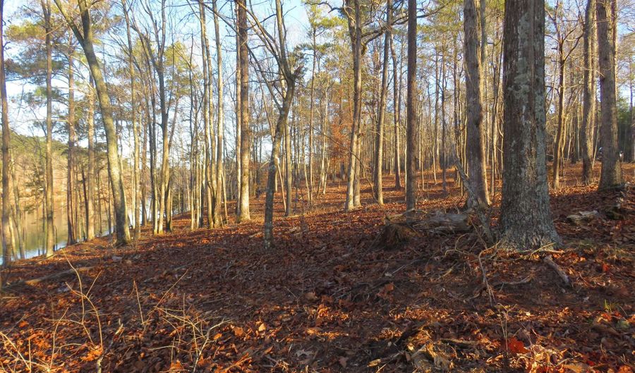 LOT # 1 ROCK RIDGE LANE, Arley, AL 35541 - 0 Beds, 0 Bath