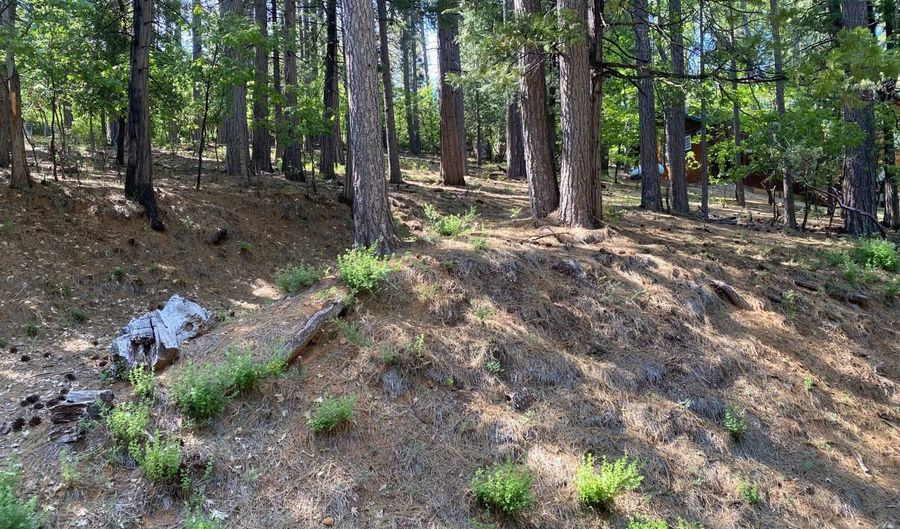 2946 Venado Dr, Arnold, CA 95223 - 0 Beds, 0 Bath