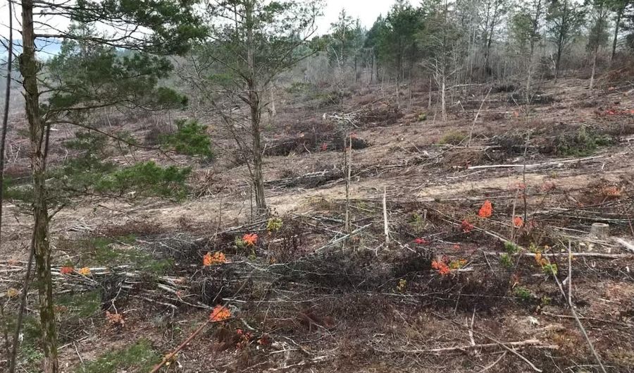 233 County Road 83, Athens, TN 37303 - 0 Beds, 0 Bath