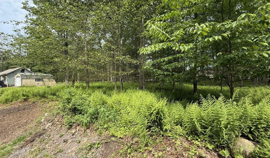 Dorshimer Ave, Blakeslee, PA 18610 - 0 Beds, 0 Bath