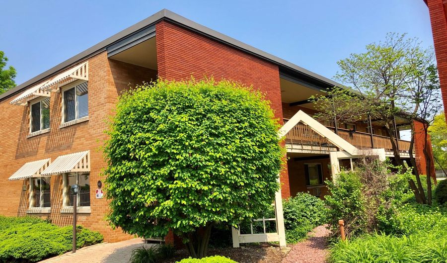 607 W Park Ave 201, Libertyville, IL 60048 - 1 Beds, 1 Bath