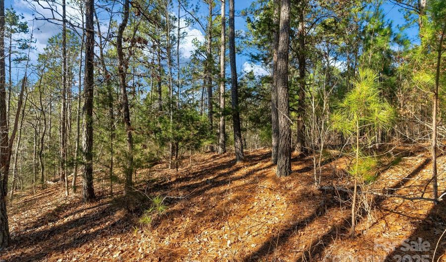 Old Douglass Road unit 3 3, Blackstock, SC 29014 - 0 Beds, 0 Bath