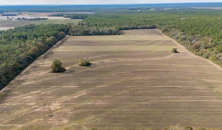 N Bob Brooks Road, Baker, FL 32531 - 0 Beds, 0 Bath