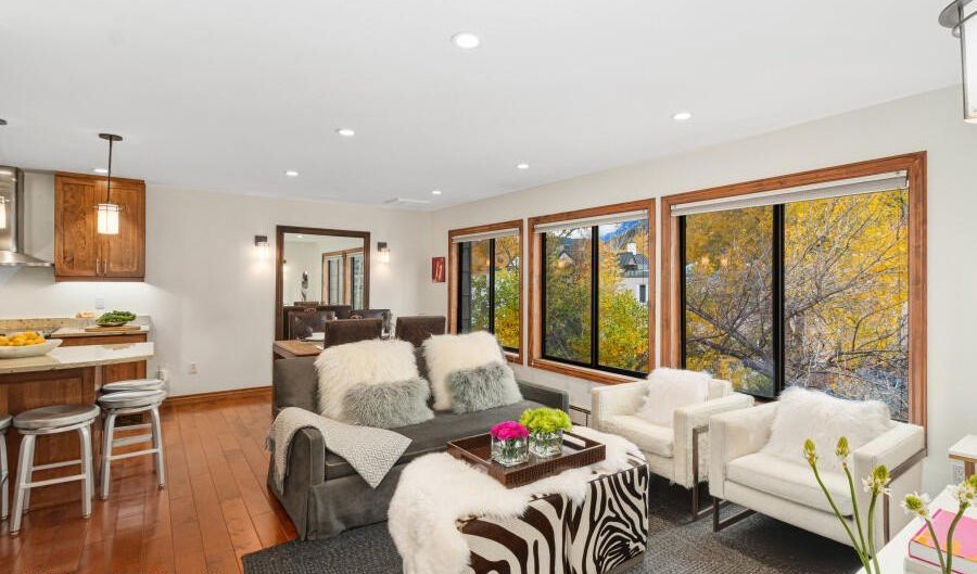 725 E Main St 309, Aspen, CO 81611 - 2 Beds, 1 Bath