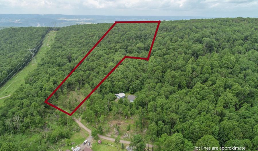 12 34 Acres BEARFOOT Rd, Accident, MD 21520 - 0 Beds, 0 Bath