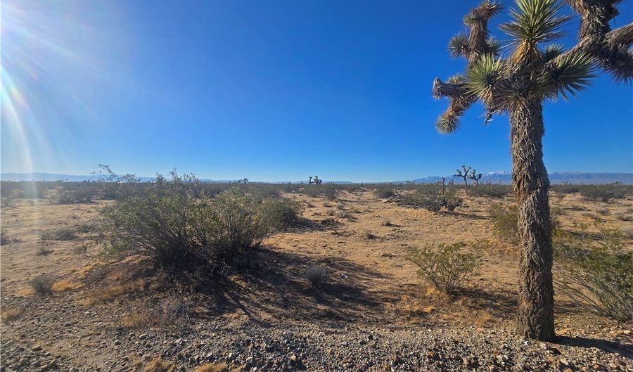 11955 Coronado Ave, Adelanto, CA 92301 - 0 Beds, 0 Bath