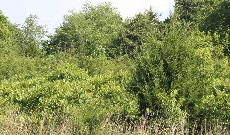 Chestnut Street, Aurora, MO 65605 - 0 Beds, 0 Bath